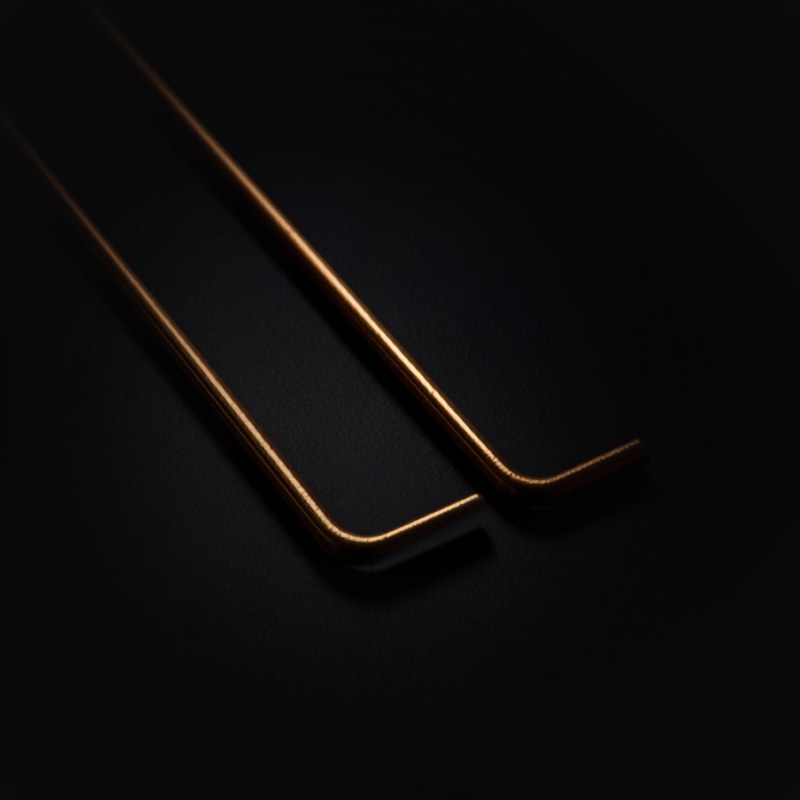 A pair of brass L-shaped dowsing rods on a dark surface